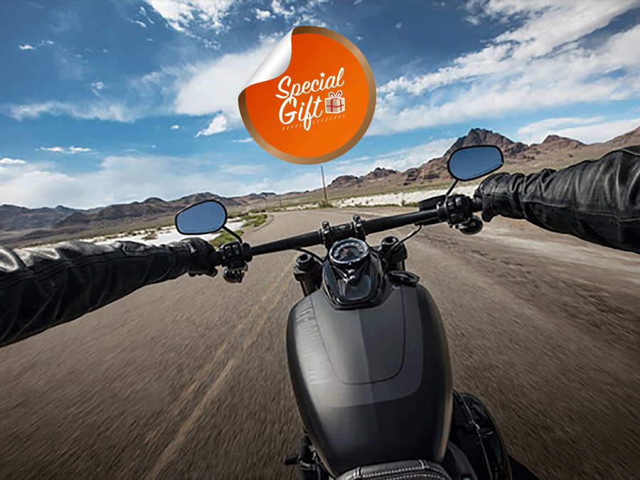 Harley-Davidson® Motorcycle riding through the Arizona desert